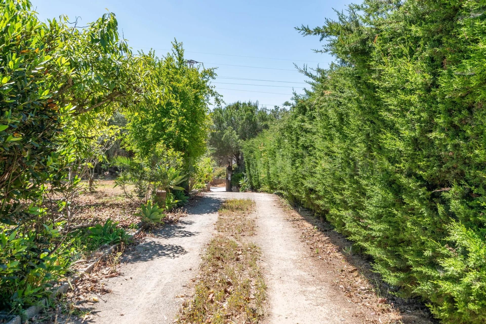 Country house for sale in Estepona