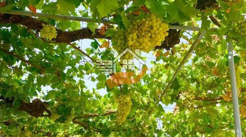 Foto 2 de Finca rústica en venta en Vélez-Blanco, Almería