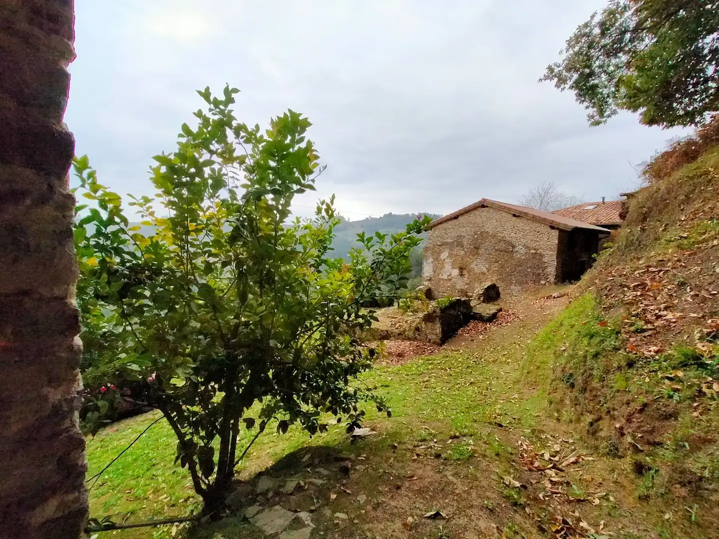 Jardí de Residencial en venda en Pravia