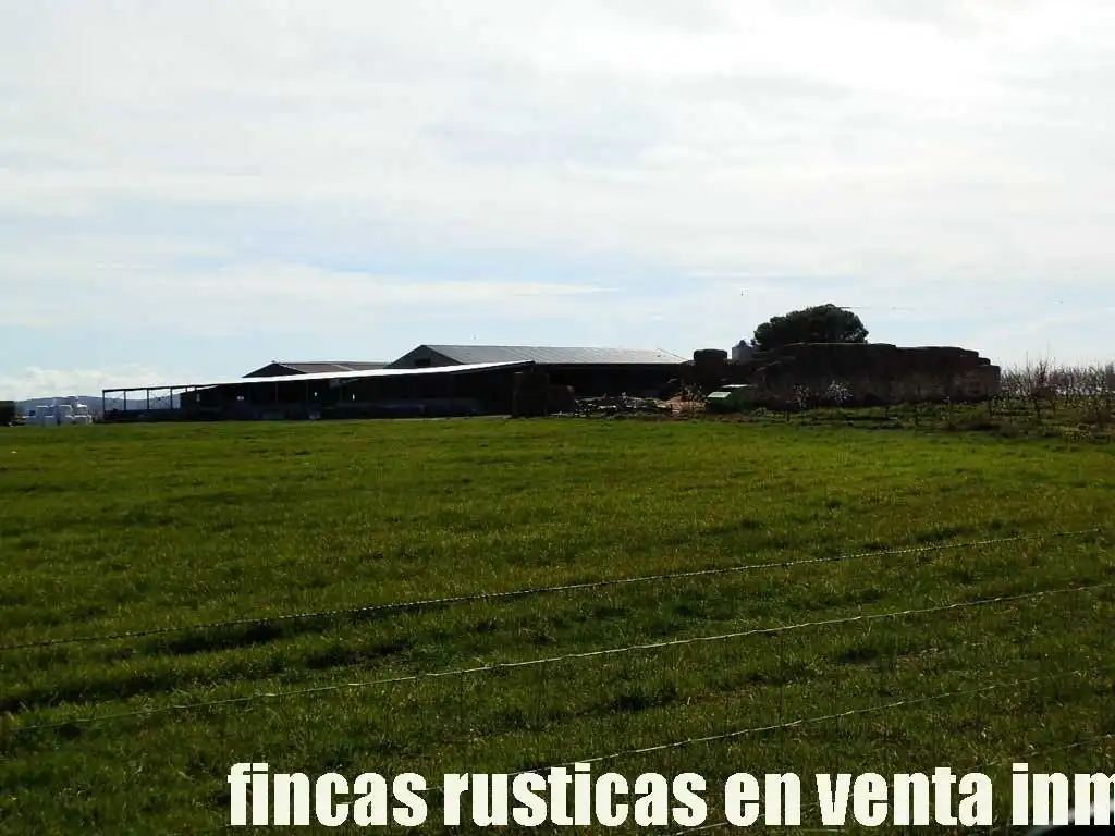 Terreny rústic en venda a Manzanares, imagen 12