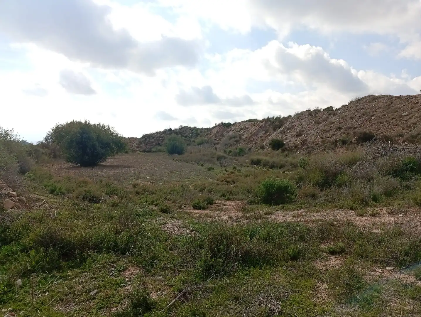 Terreny en venda a Rambla La Higuera, Albox