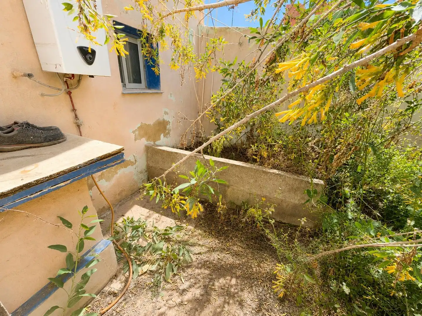 Jardí de Casa o xalet en venda en San Cristóbal de la Laguna amb Jardí privat, Terrassa i Alarma