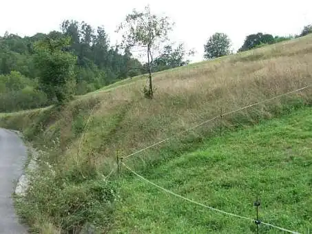 Grundstücke und Bauplätze zum Verkauf in Cangas de Onís, imagen 2