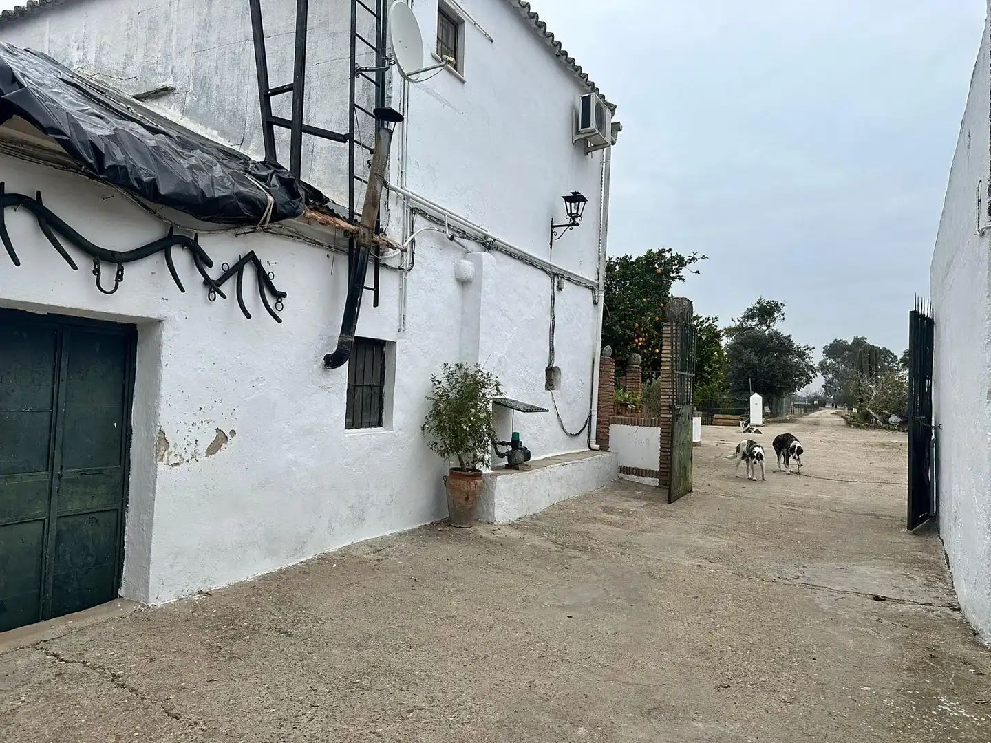 Finca rústica en venda a Villarrubia