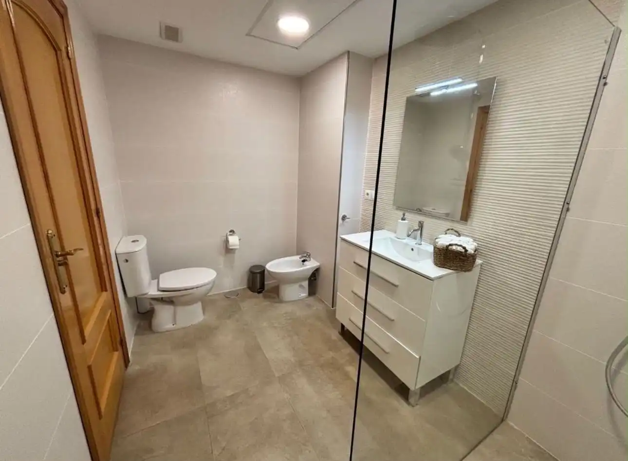 Bathroom of Apartments for rent in San Pedro de Alcántara