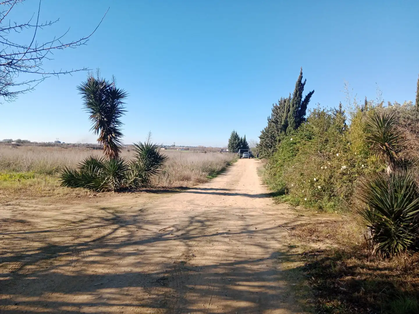 Terreno en venta en Utrera