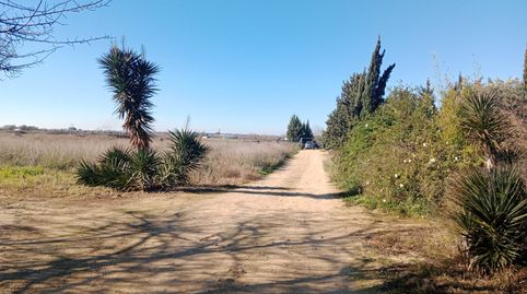 Foto 4 de Terreno en venta en Pedanías Norte, Utrera