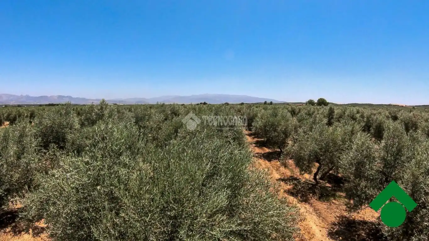 Rustikales Grundstück zum Verkauf in Santa Fe, imagen 33