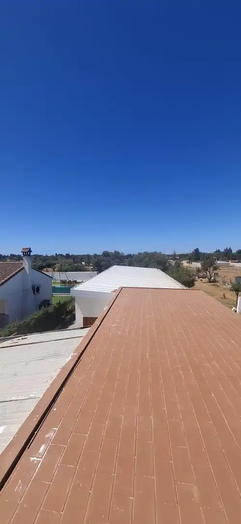 Vista exterior de Finca rústica en venda en Chiclana de la Frontera amb Jardí privat i Traster