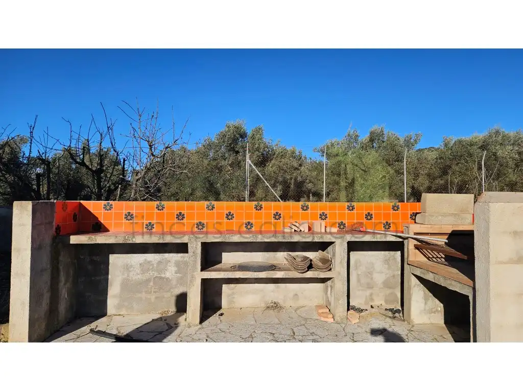 Jardín de Casa o chalet en venta en Sant Mateu