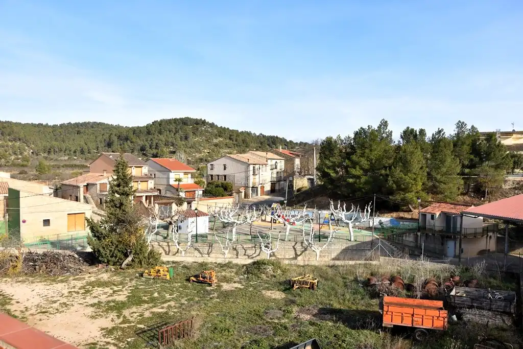 Vista exterior de Casa o xalet en venda en Arens de Lledó amb Jardí privat, Moblat i Balcó