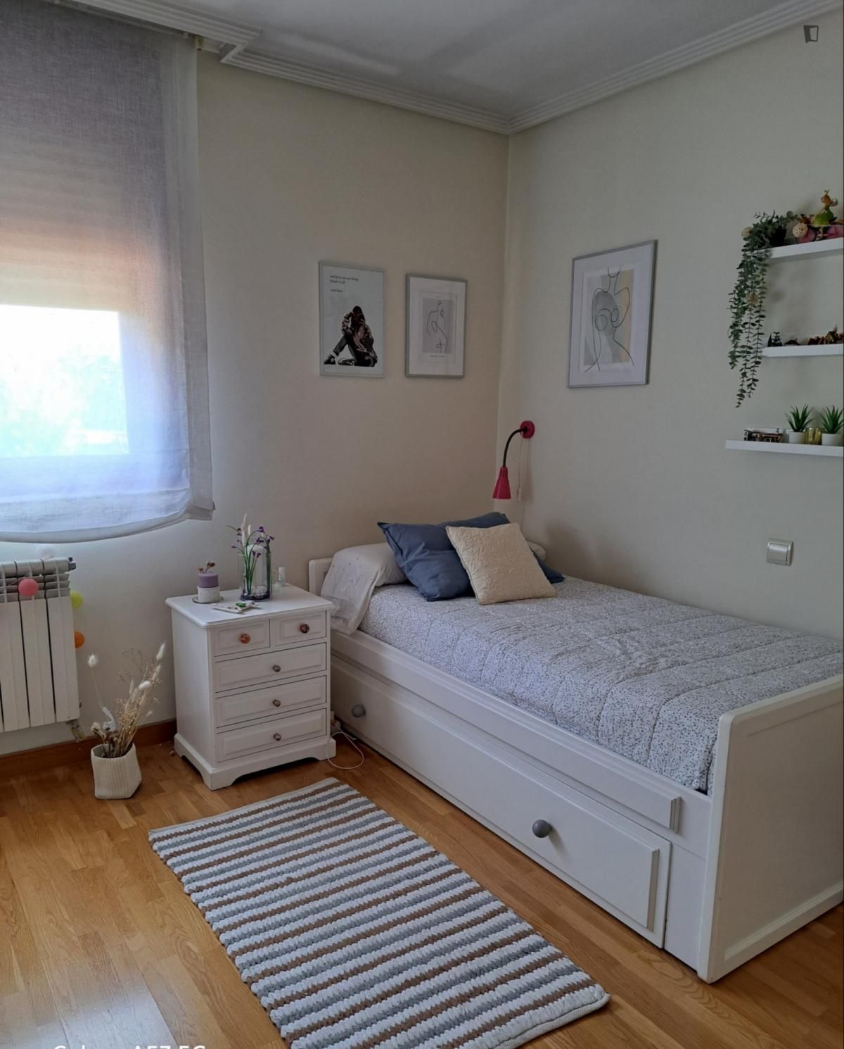 House or chalet to share in Centro