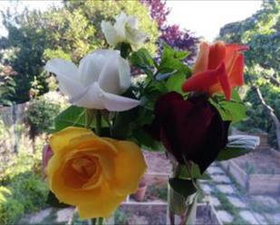 Garden of Flat for sale in  Zaragoza Capital  with Terrace and Storage room