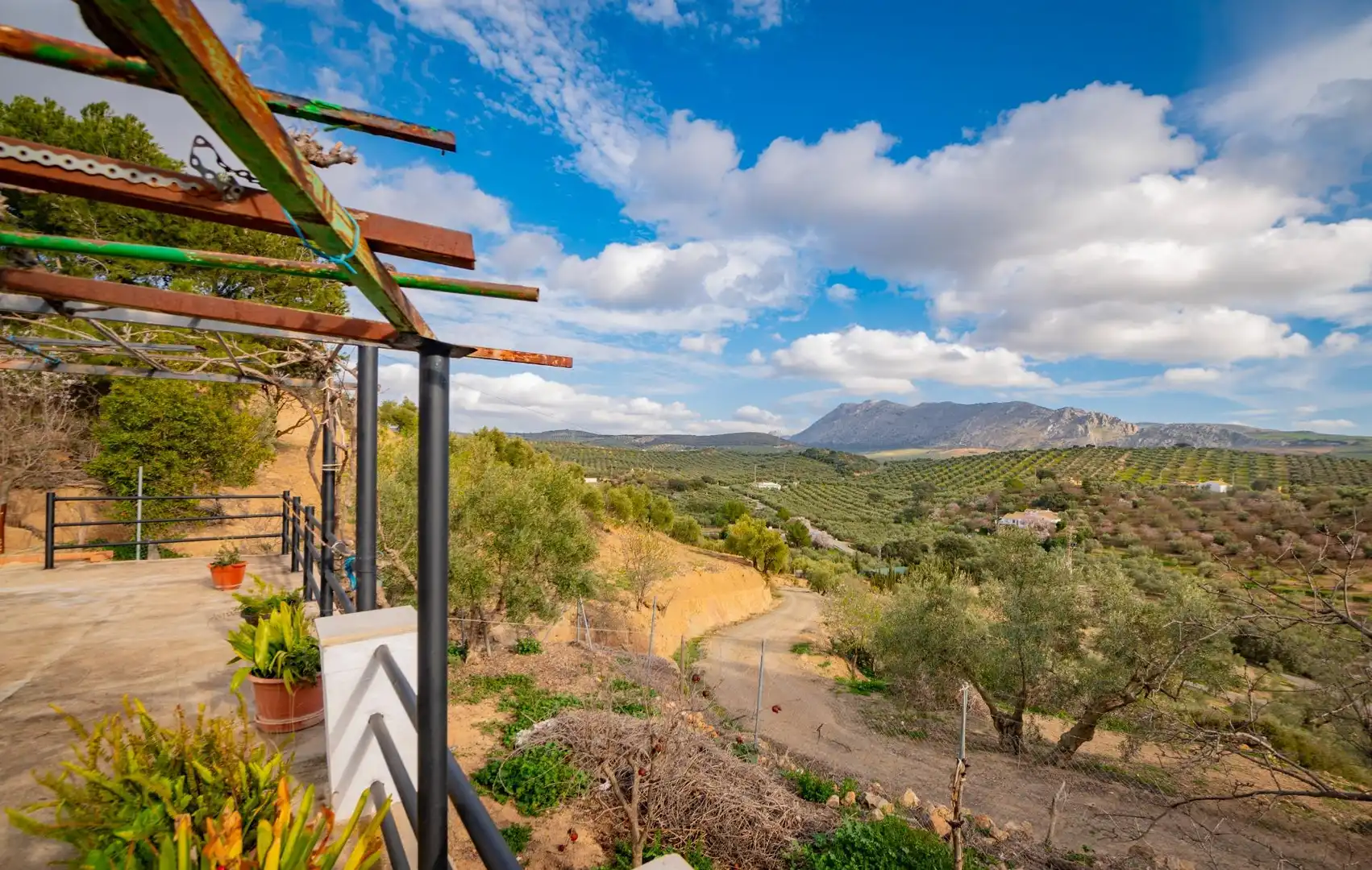 Vista exterior de Finca rústica en venta en Antequera