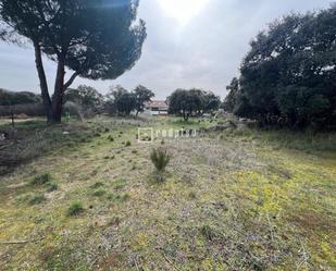 Industrial land for sale in Guadarrama