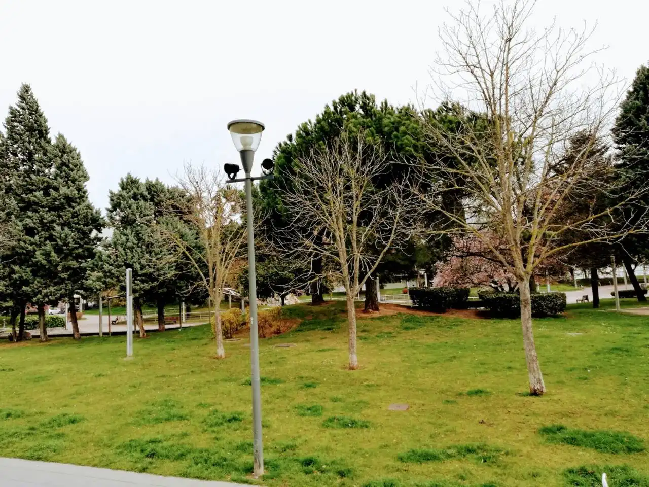 Gewerbefläche zur Miete in Avenida de la Constitución Española, imagen 26