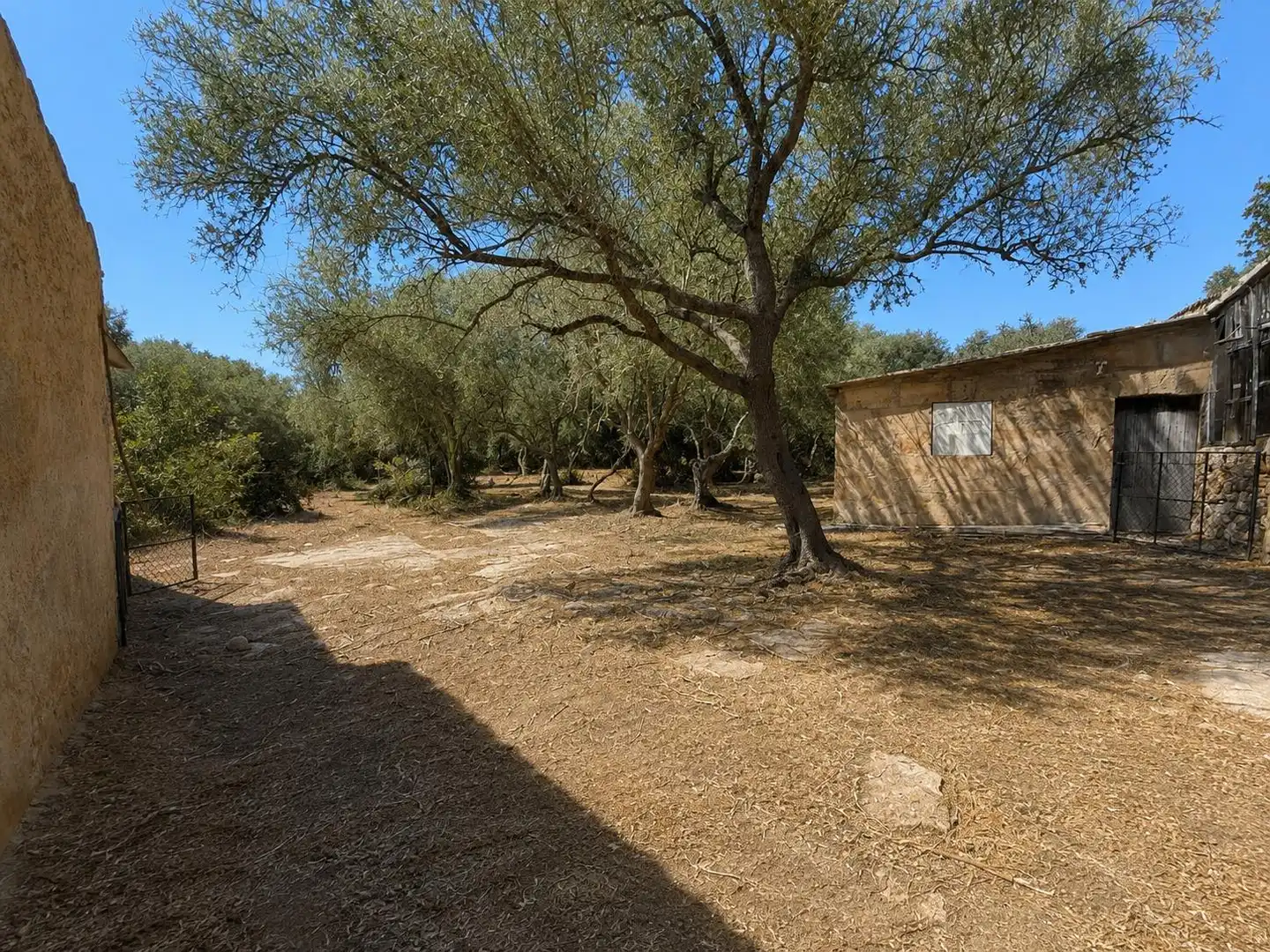 Country homes for sale in Costitx