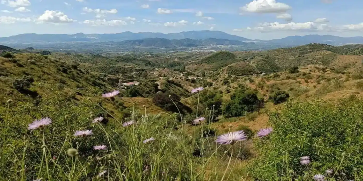 Vista exterior de Casa o chalet en venta en Cártama con Calefacción, Terraza y Trastero