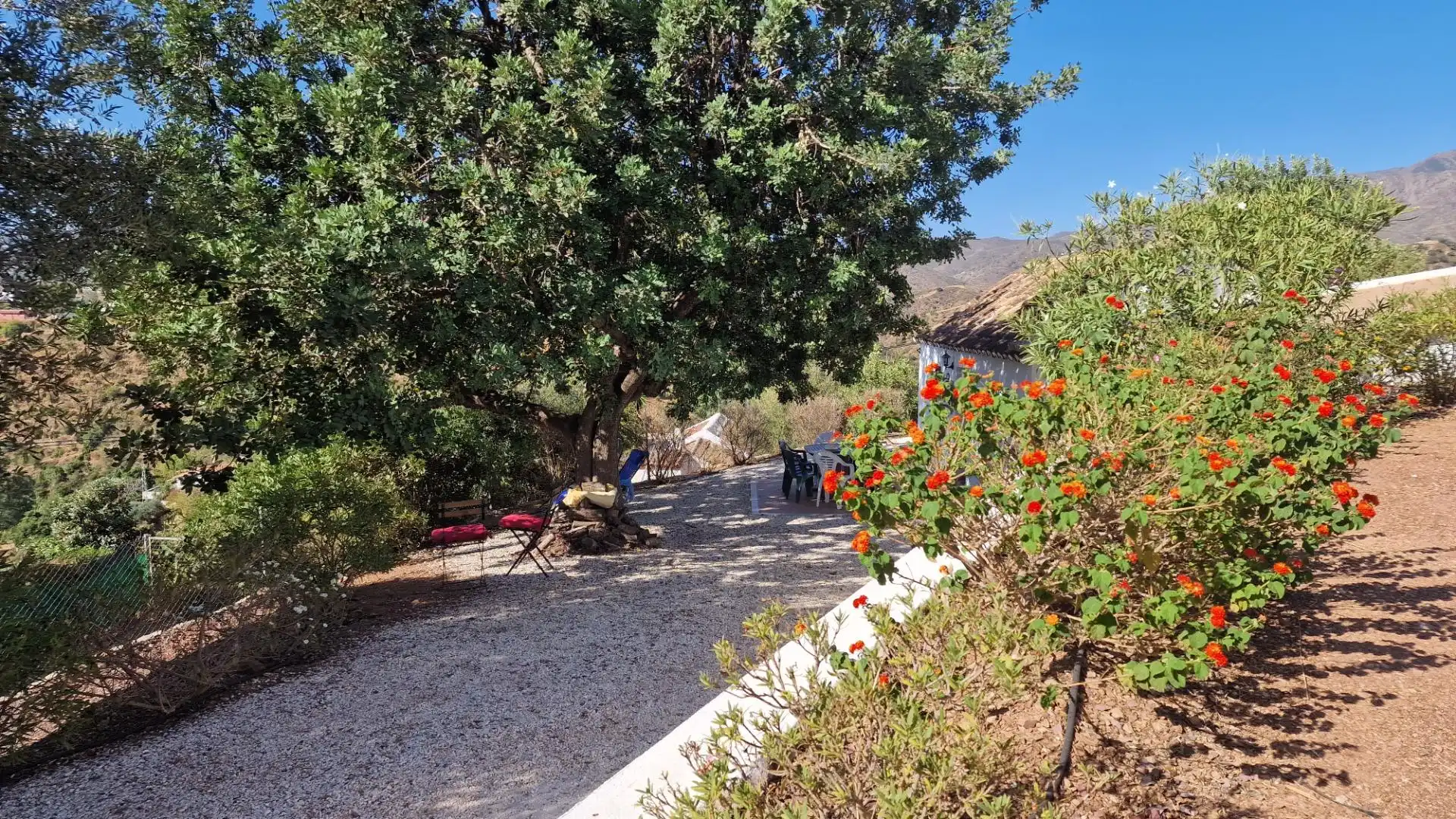 Jardí de Finca rústica en venda en Mijas amb Jardí privat i Alarma
