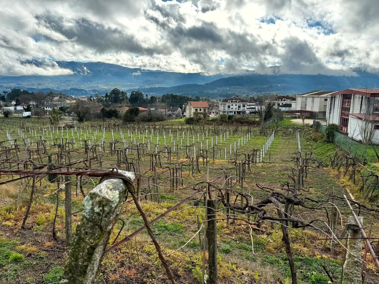 Rural land for sale in Arbo, imagen 12