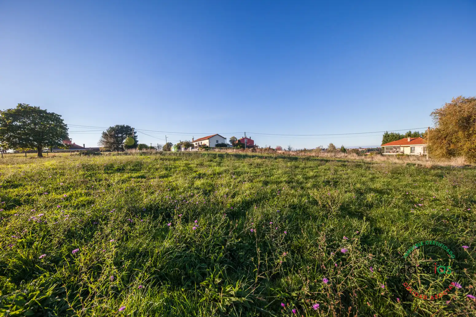 Terreno rustico in vendita a Gijón - Camino Casa Mena 328, imagen 18