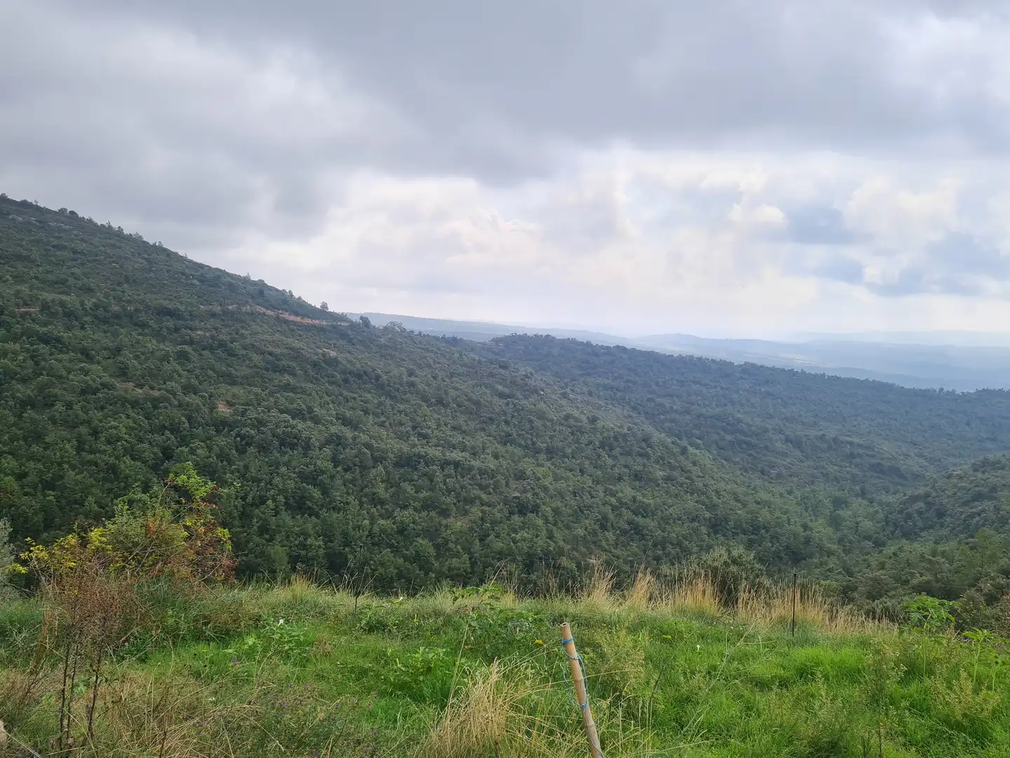 Country homes for sale in Olvan