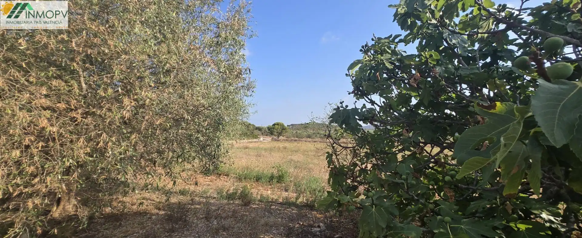 Finca rústica en venda en Vinaròs