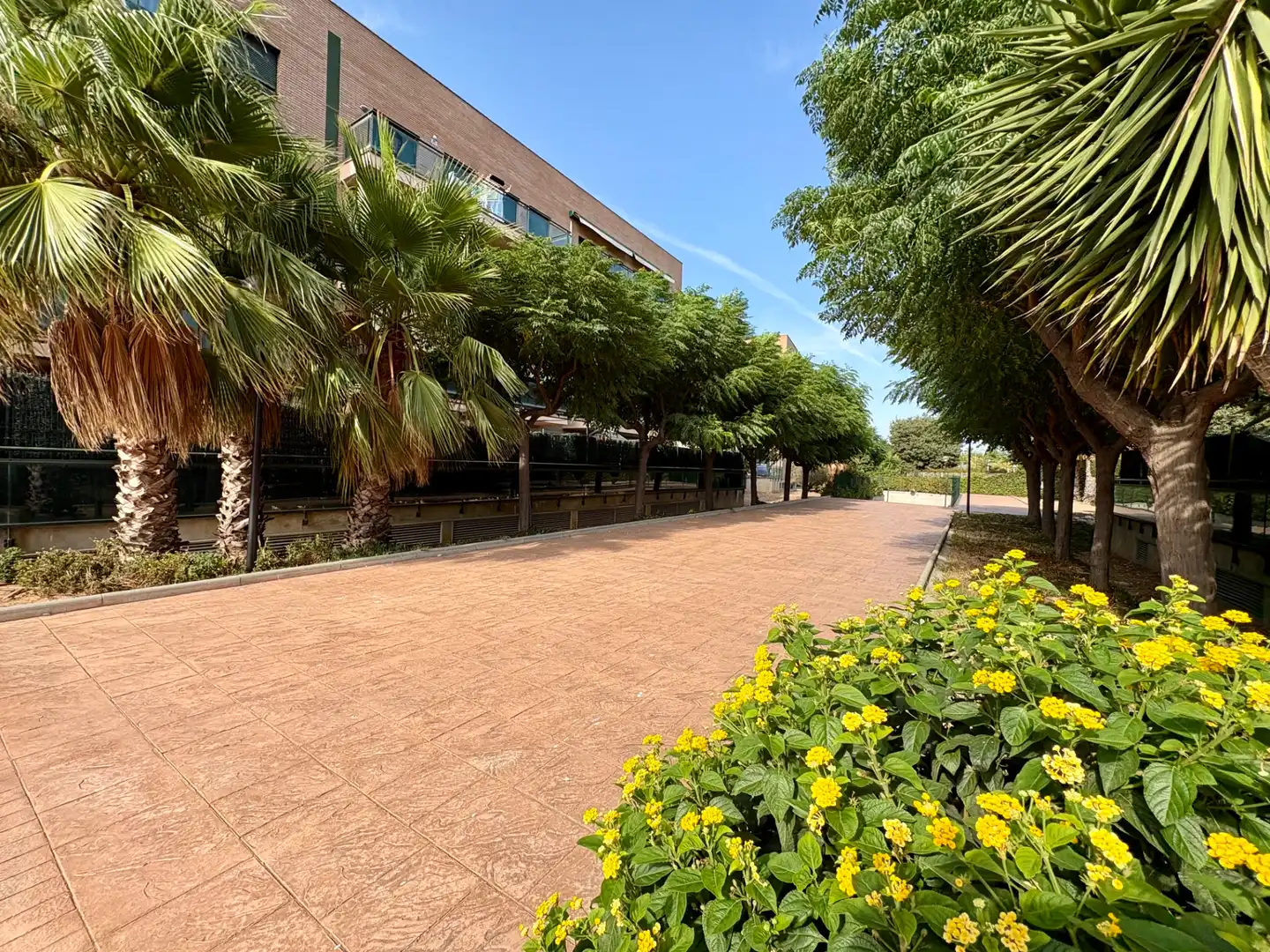 Vista exterior de Pis en venda en Salou amb Aire condicionat, Terrassa i Alarma