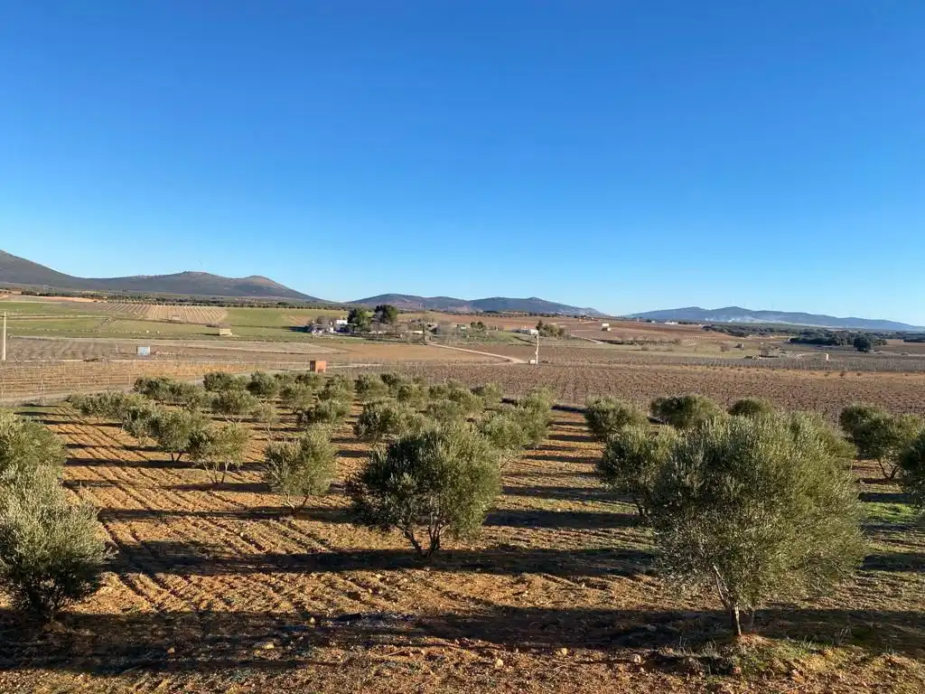 Casa rústica en venda a Valdepeñas