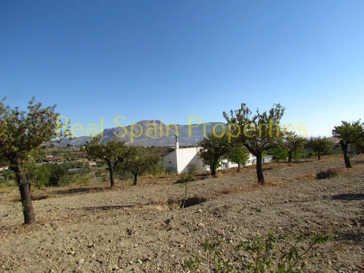 Casa rústica en venta en Vélez-Rubio, imagen 20