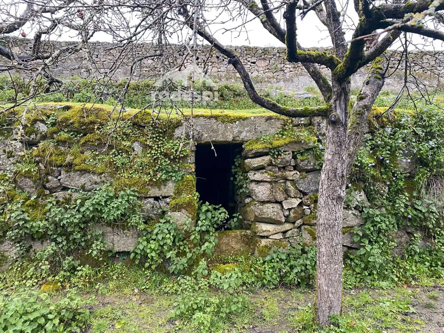 Exterior view of Buildings for sale in Pantón