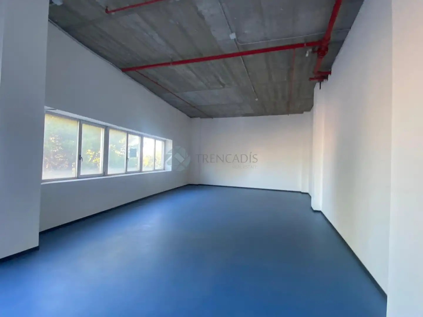 Gewerbefläche zum Verkauf in edificio el mundo, imagen 26