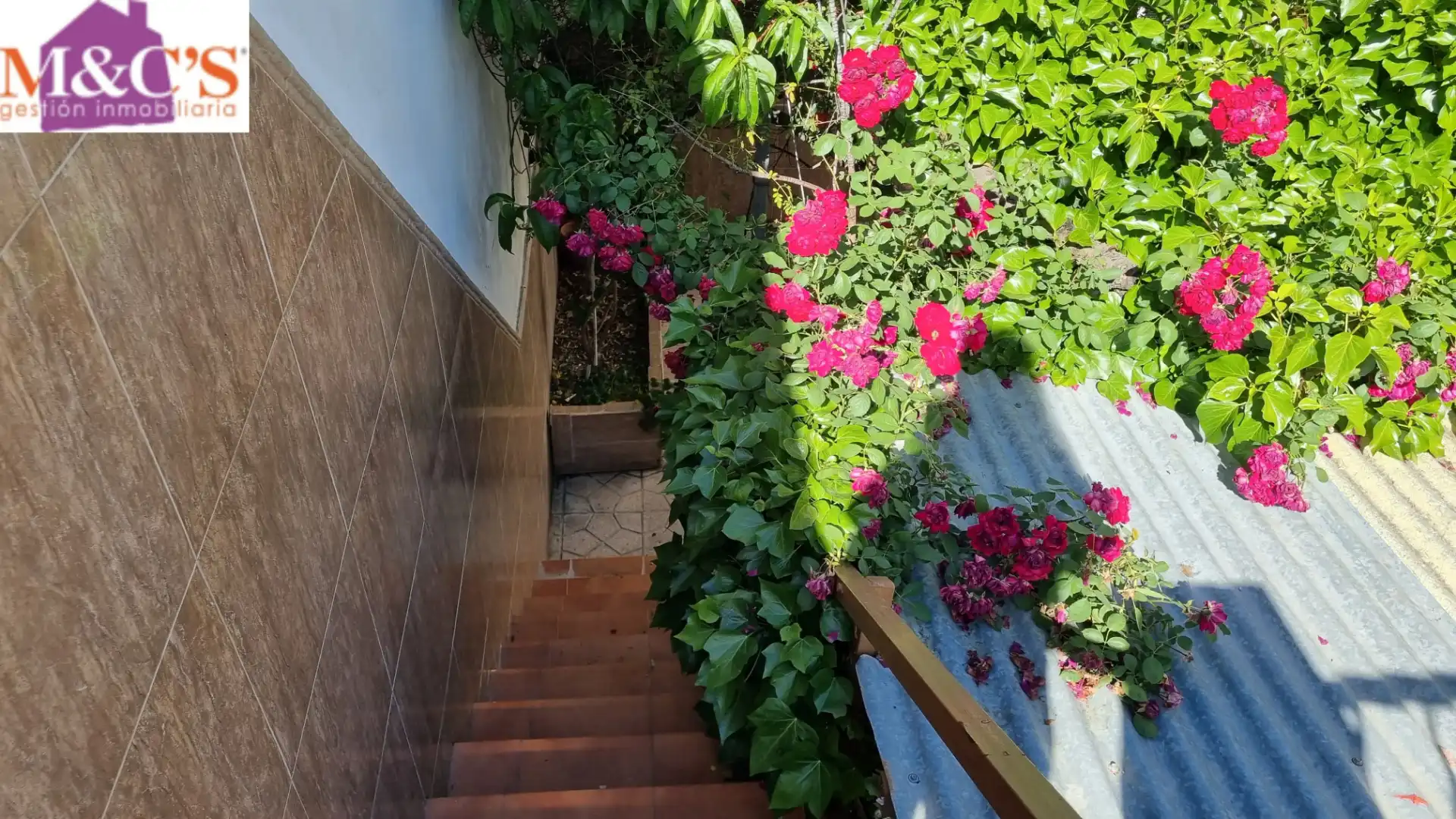 Maison à vendre à Carretera de Córdoba - Libertad, imagen 5
