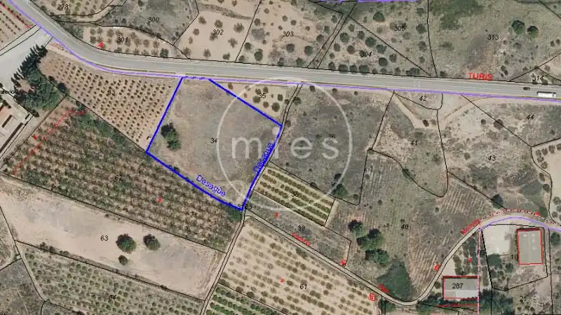 Terreno rústico en venta en MONTROY 0, imagen 2