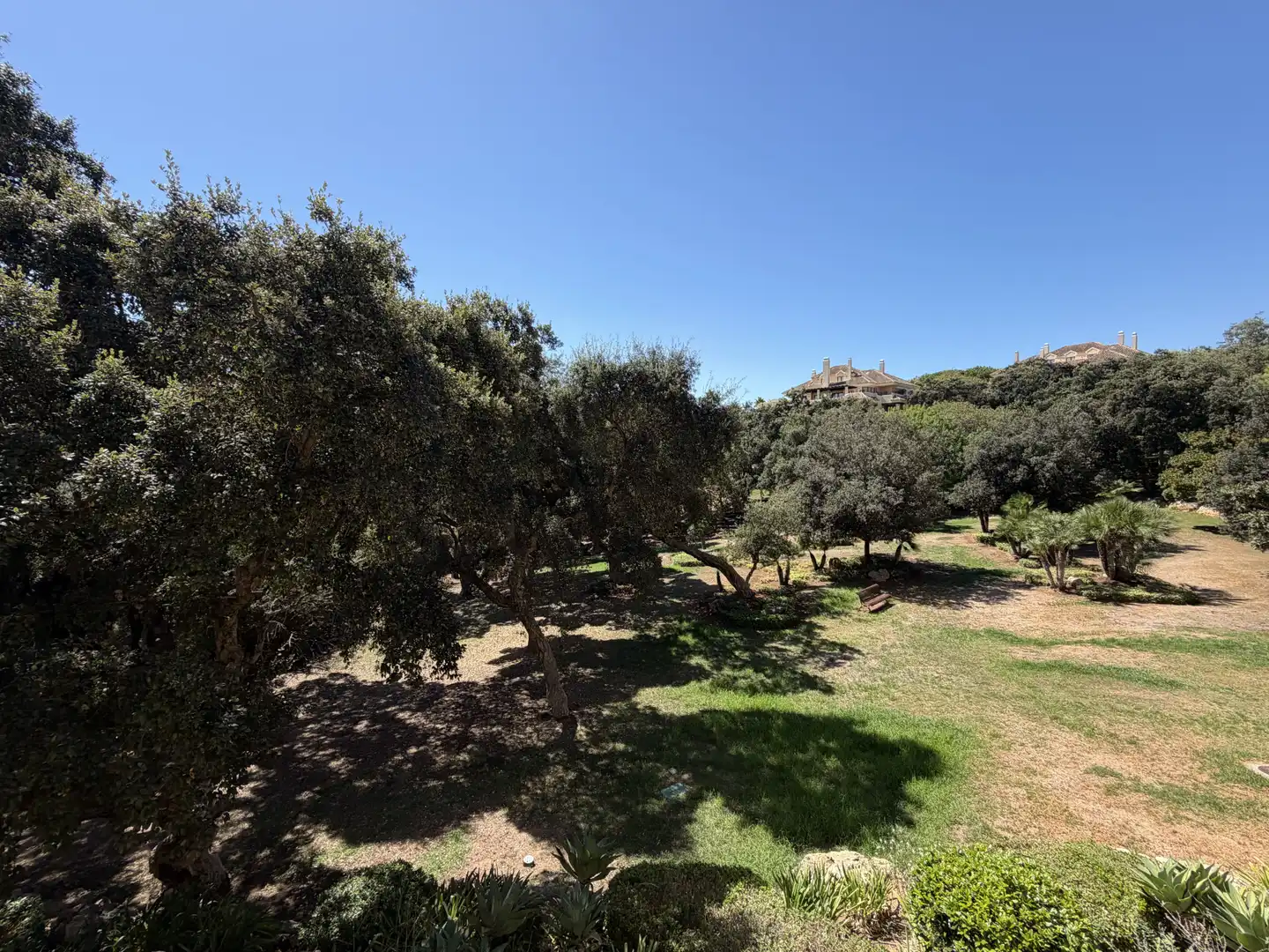 Bajo con piscina en venta en Sotogrande Alto, imagen 15