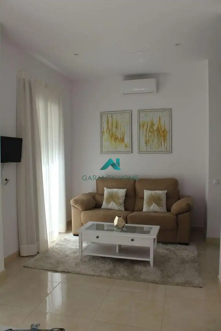 Appartement avec terrasse à louer à Casco Antiguo, imagen 8