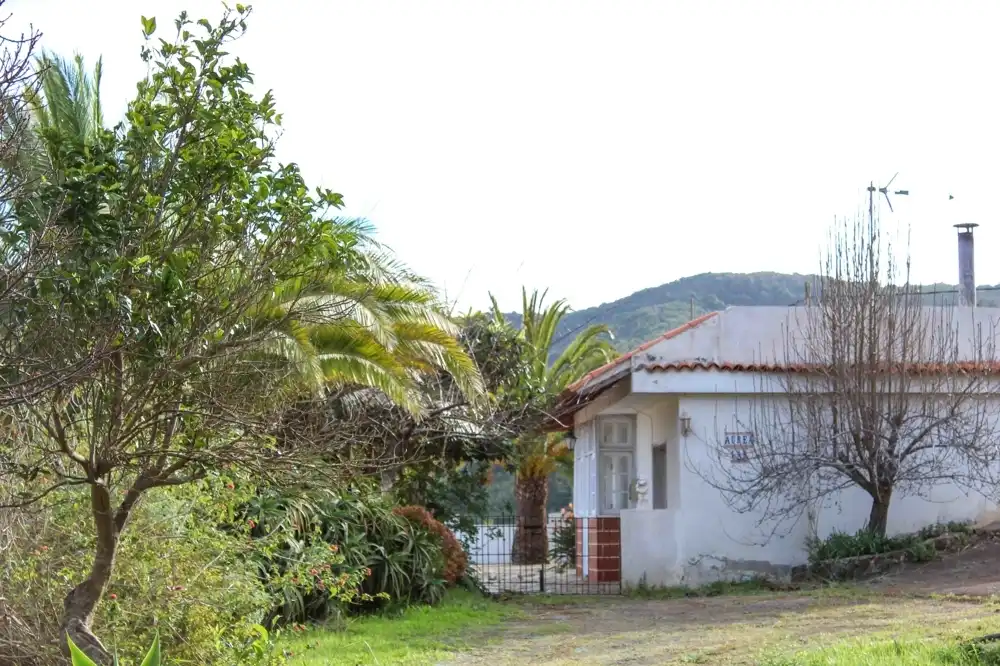 Maison rustique à vendre à Calle La Palmita, imagen 4