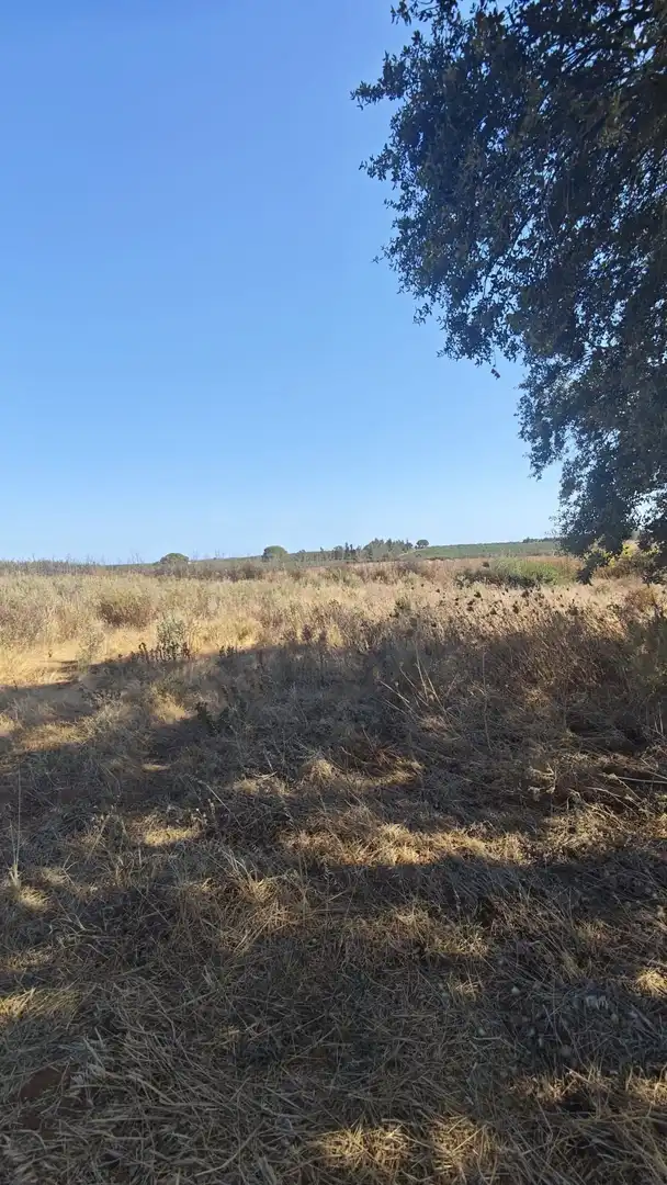 Terreni e lotti in vendita a Villablanca, imagen 11