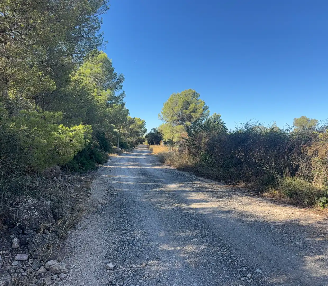 Land for sale in El Pla de Santa Maria
