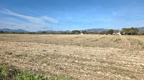 Photo 3 of Land for sale in Camí de Son Mulet, Marratxinet, Illes Balears