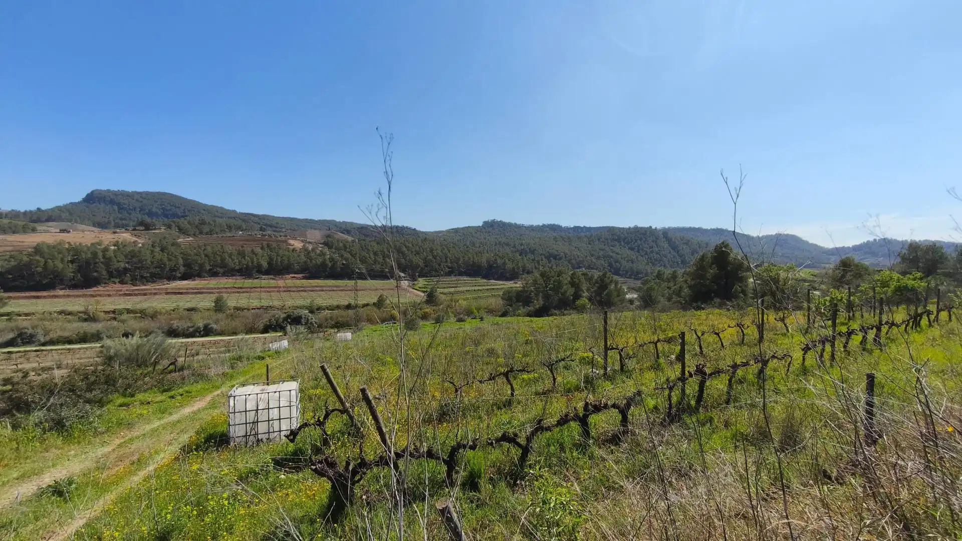 Grundstücke zum Verkauf in El Molar (Tarragona)