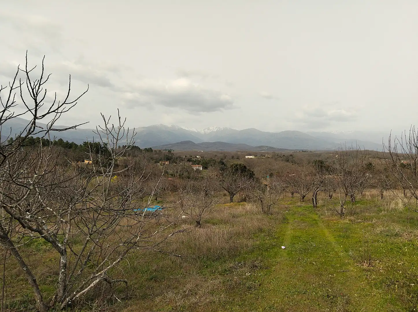 Terreno en venta en Collado de la Vera