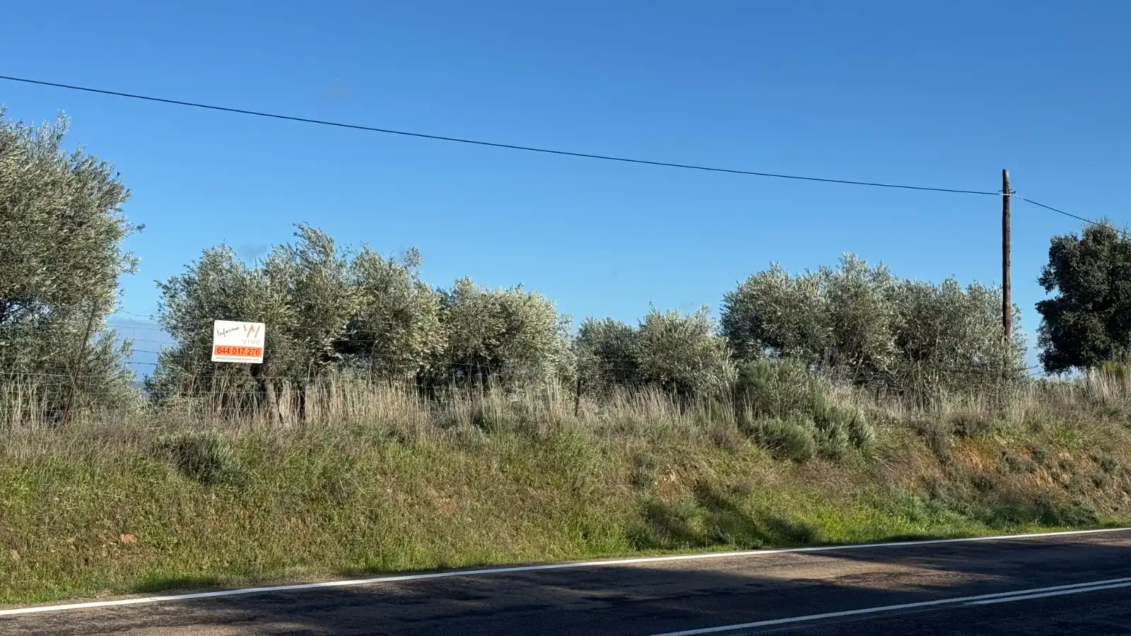 Terreni e lotti in vendita a Valencia de Alcántara, imagen 13