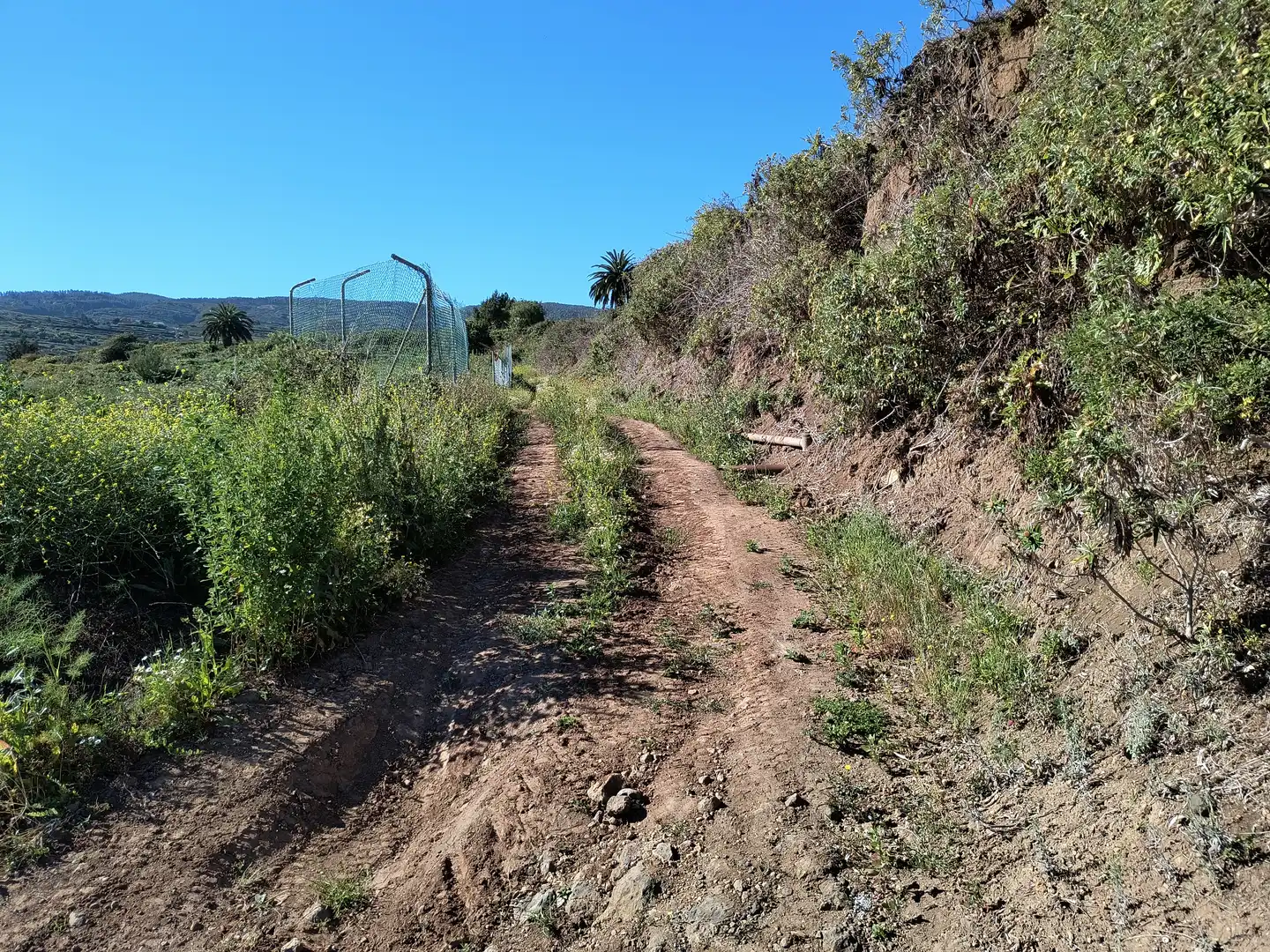 Terreny rústic en venda a Carretera General Ochocientos Veinte 76, imagen 30