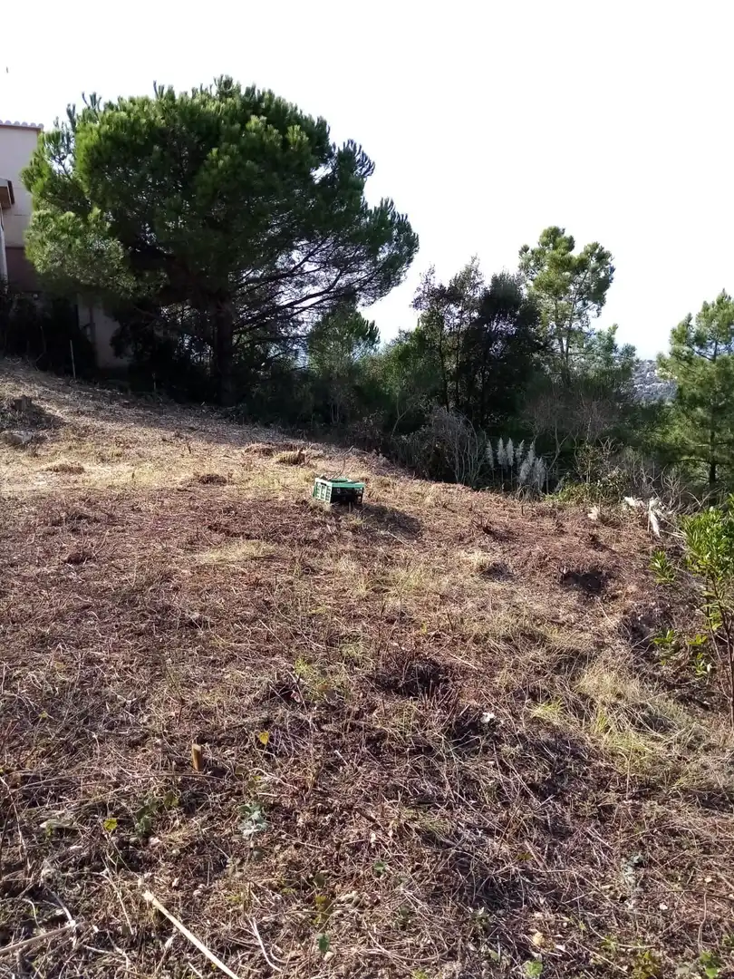 Terrenos y solares en venta en Lloret Residencial - Montlloret, imagen 9