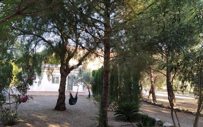 Jardí de Finca rústica en venda en Hellín