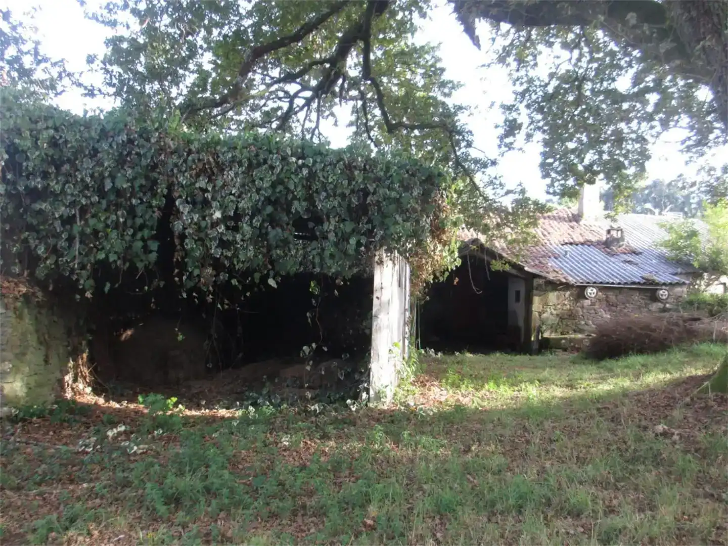 Vista exterior de Planta baixa en venda en Aranga