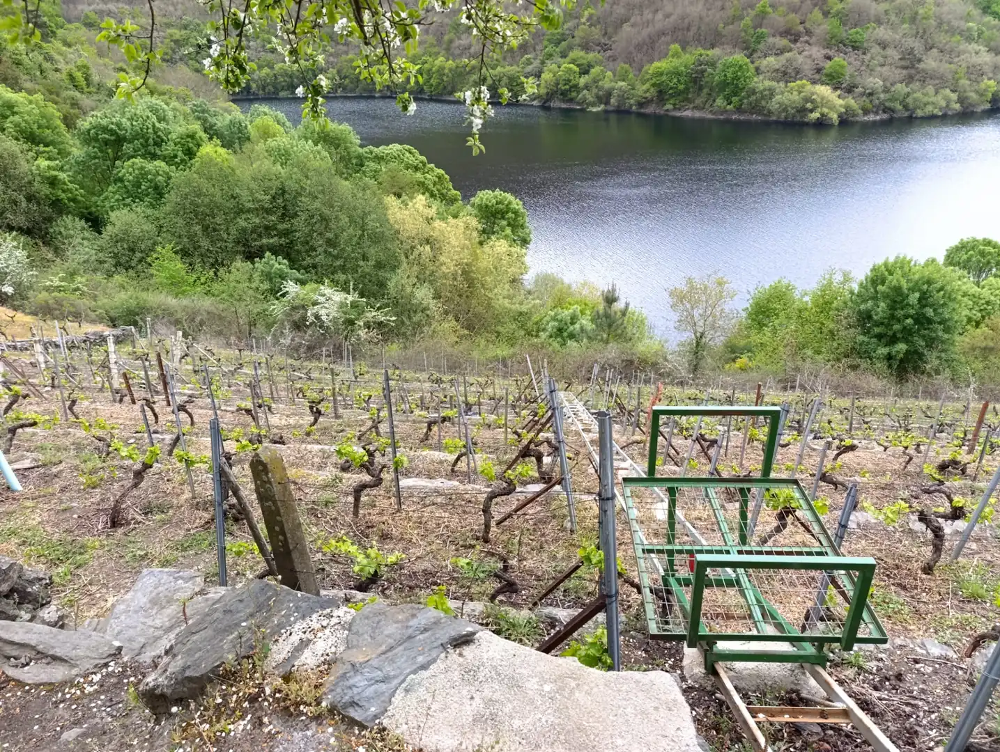 Casa rústica amb jardí en venda a O Saviñao, imagen 18