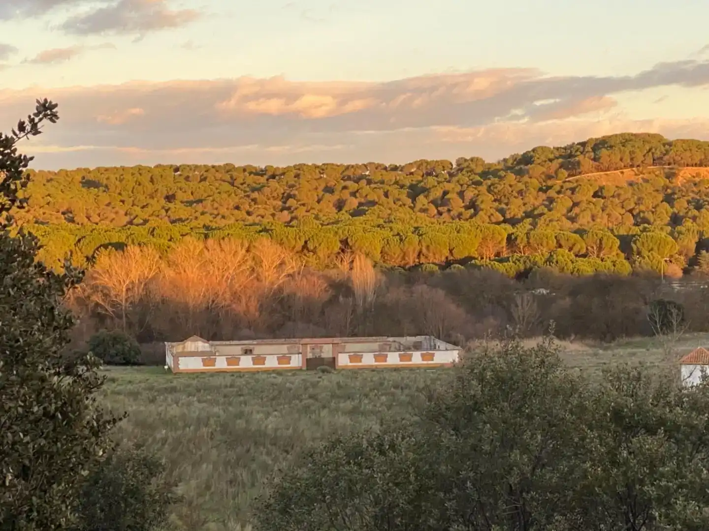 Vista exterior de Finca rústica en venta en Villaviciosa de Odón