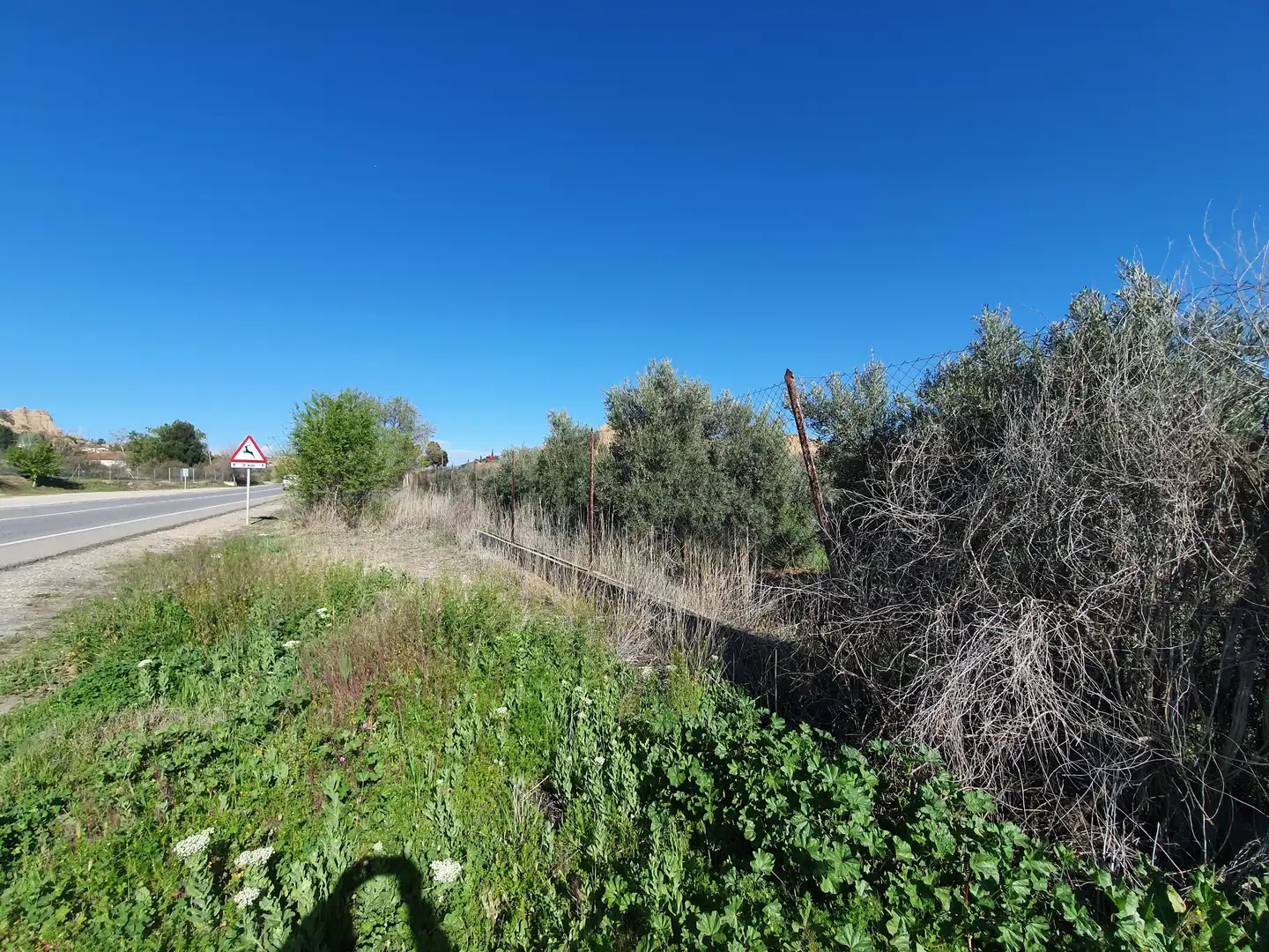 Terreni e lotti in vendita a Guadix, imagen 2